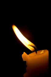 Similar image 1531219