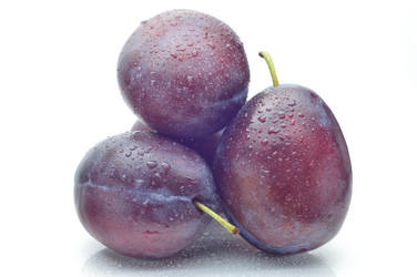 Similar image 1531226