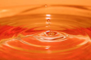 Similar image 1531253