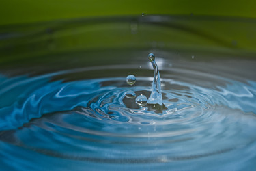 Similar image 1531254