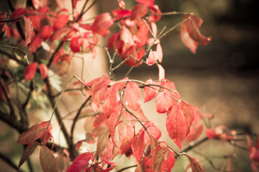 Similar image 1531260