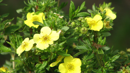 Similar image 1531274