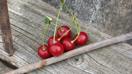 Similar image 1531276