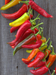 Similar image 1531288