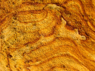 Similar image 1531316