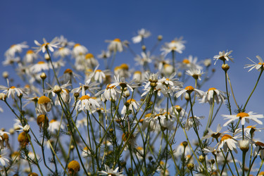 Similar image 1531399