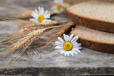 Similar image 1531400