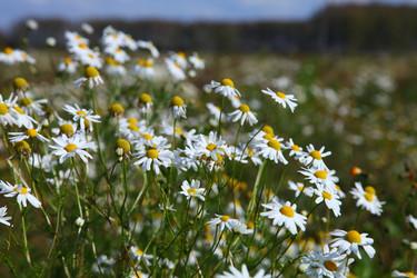 Similar image 1531404