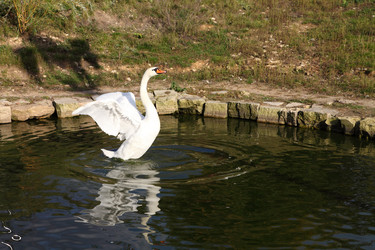 Similar image 1531418