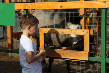 Similar image 1531422