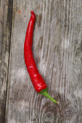 Similar image 1531432