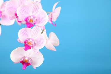 Similar image 1531439