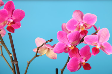 Similar image 1531440