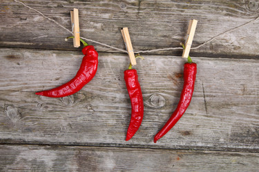 Similar image 1531457