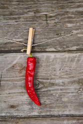 Similar image 1531458