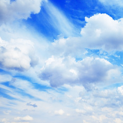 Similar image 1531464