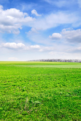 Similar image 1531479