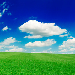 Similar image 1531481