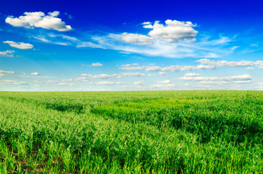 Similar image 1531484