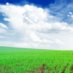 Similar image 1531486