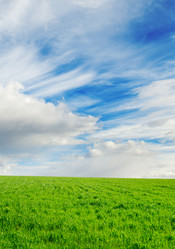 Similar image 1531489