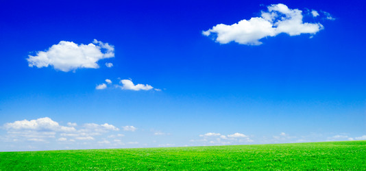 Similar image 1531491