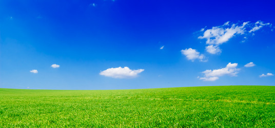 Similar image 1531492