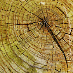 Similar image 1531493