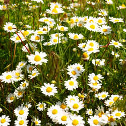 Similar image 1531498