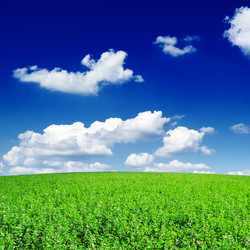 Similar image 1531499