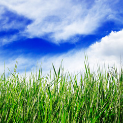 Similar image 1531506