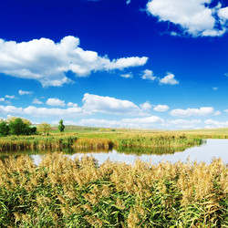 Similar image 1531511