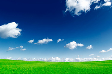 Similar image 1531522