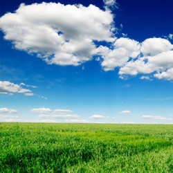 Similar image 1531527