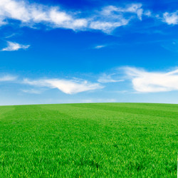 Similar image 1531528