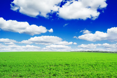 Similar image 1531529