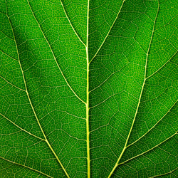 Similar image 1531532