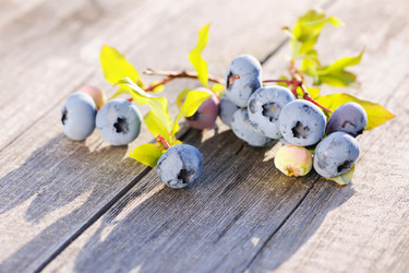 Similar image 1531575