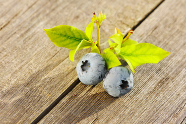 Similar image 1531577