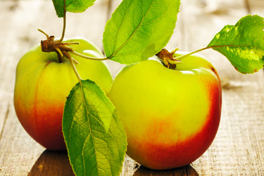 Similar image 1531599