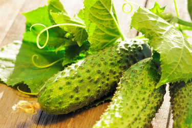 Similar image 1531606