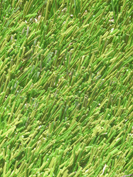 Similar image 1531614