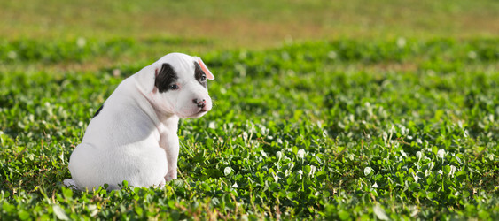 Similar image 1531649