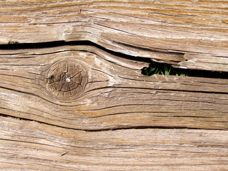 Similar image 1531785