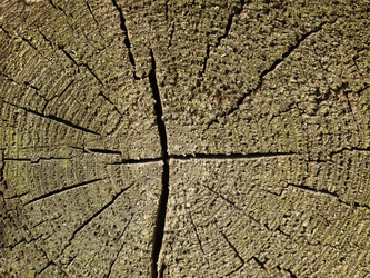 Similar image 1531840