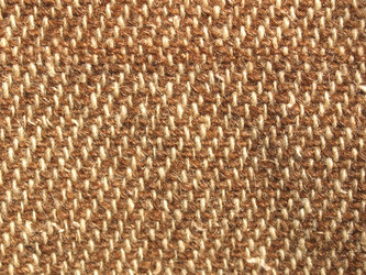 Similar image 1531842