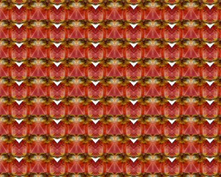 Similar image 1531870