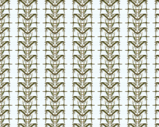 Similar image 1531879