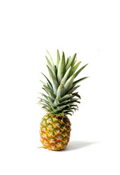 Similar image 1531935