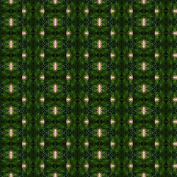 Similar image 1532247